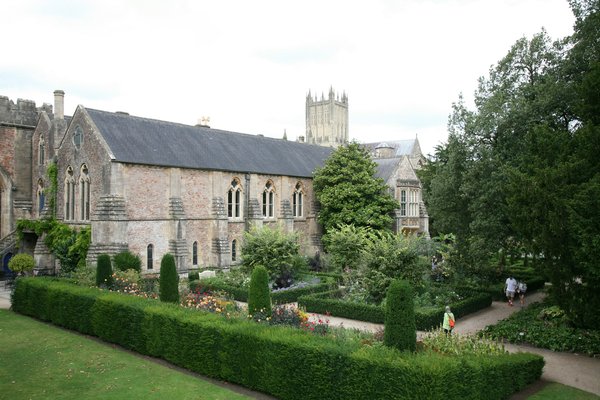Can Vertical Wall Planters Be a Solution for Limited Space in UK City Homes?